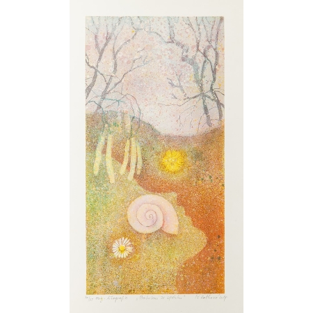 Probuzení ze spánku